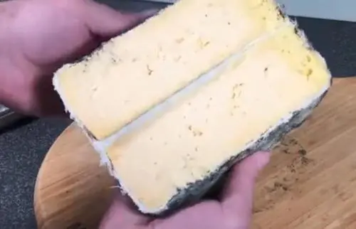 刚买的干奶酪为什么有霉点