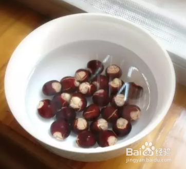 龙眼籽怎样发芽