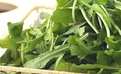 吃野菜有哪些好处