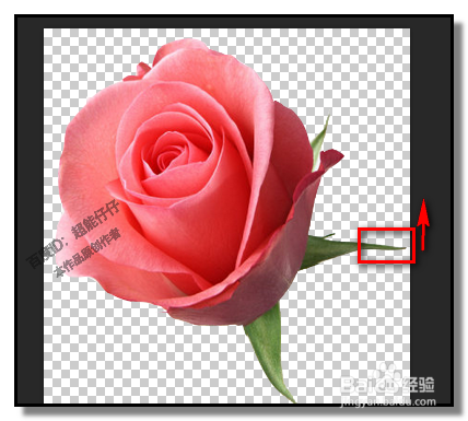 PS中，操控变形怎样用？