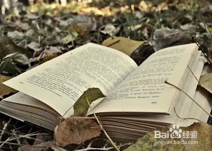 野外求生我们需要注意些什么