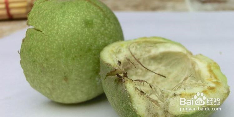 核桃种子育苗方法