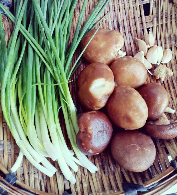 虾油猪肉香菇抄手