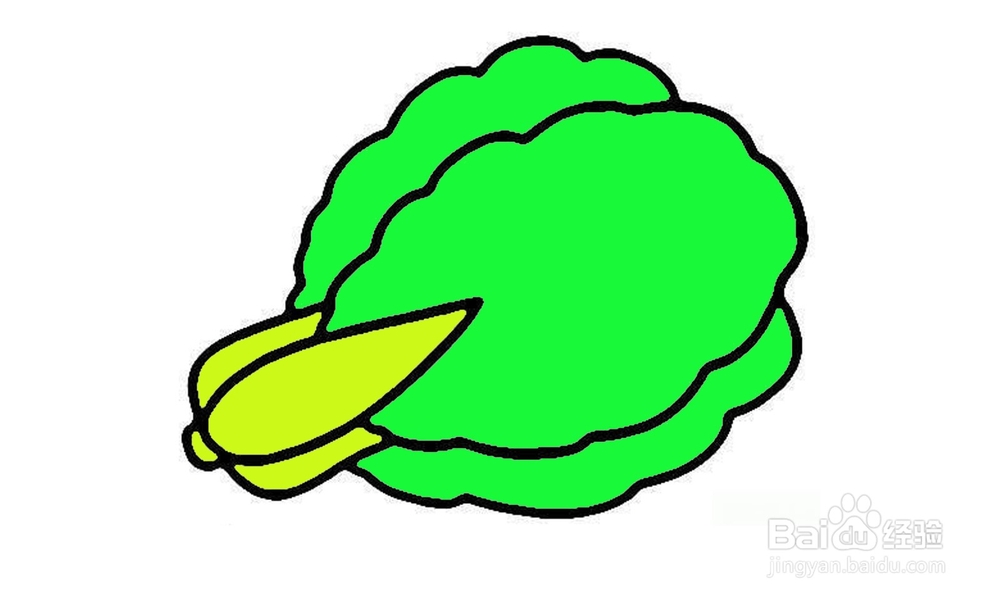 如何画出一个大白菜？
