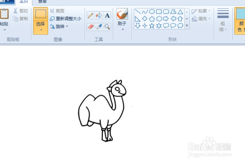 用电脑绘制骆驼简笔画