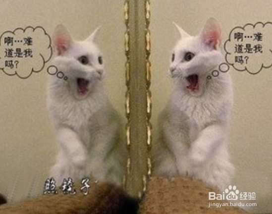 如何去克制不良情绪