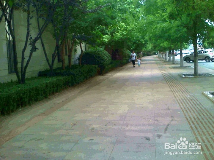 幼儿期的孩子安全出行