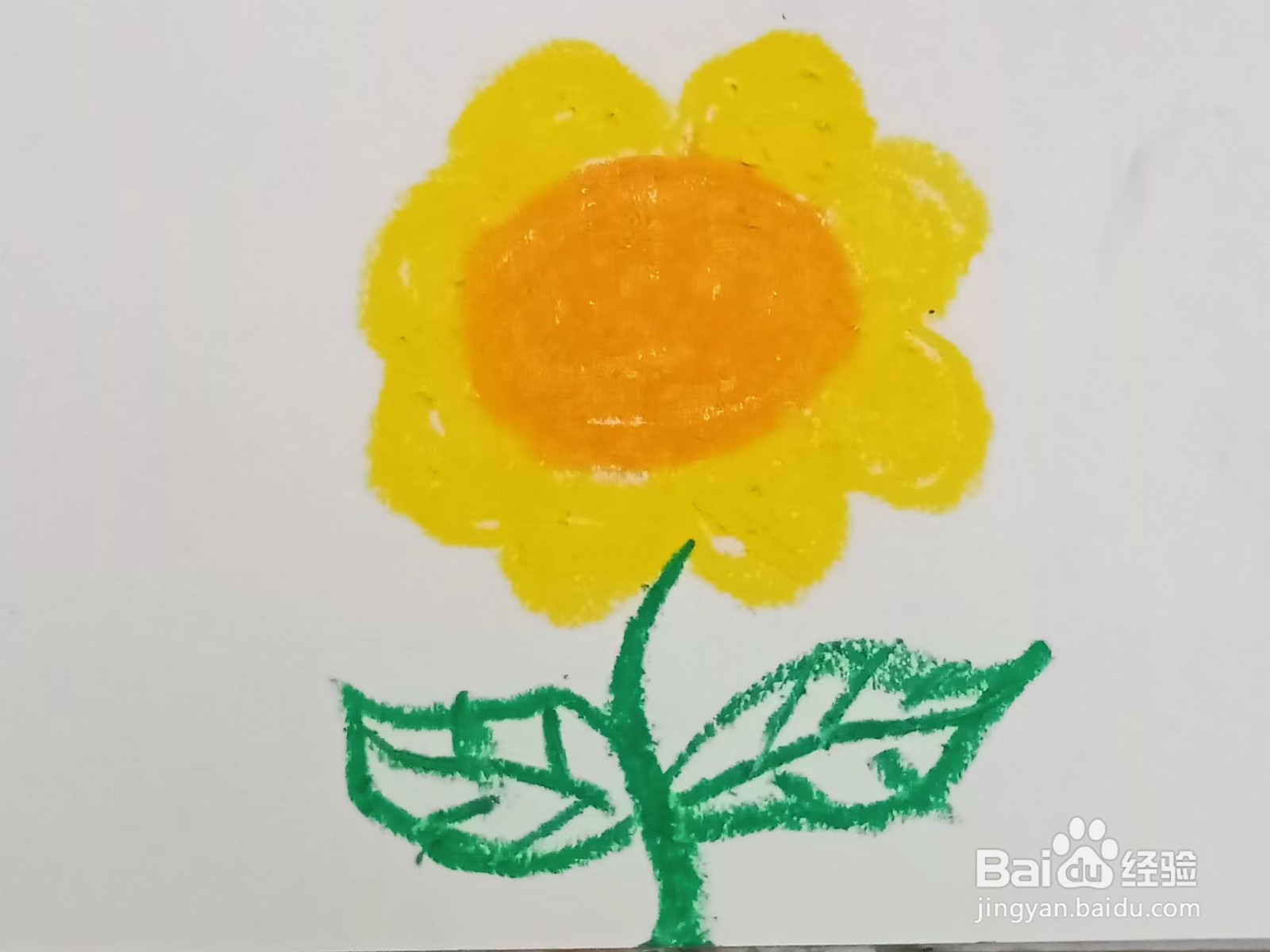 用油画棒画向日葵
