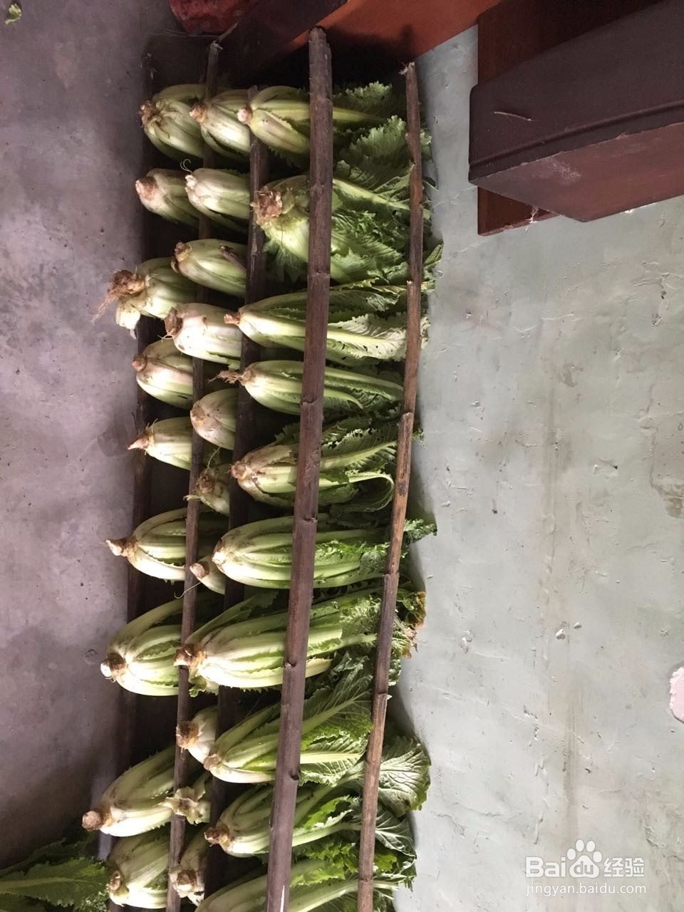 对于大白菜如何储存