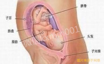 准妈妈要生了,准爸爸能做什么