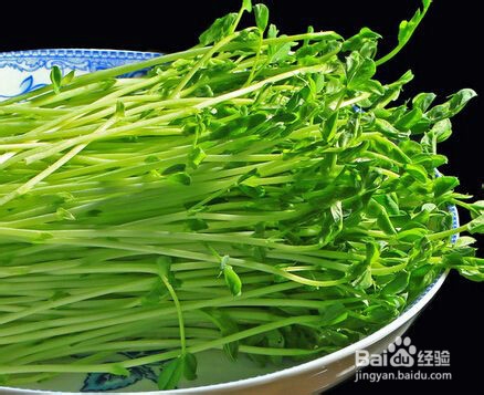 五种瘦脸的食物