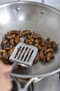 煸炒金蝉做法