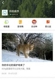 支付宝华北豹怎么领