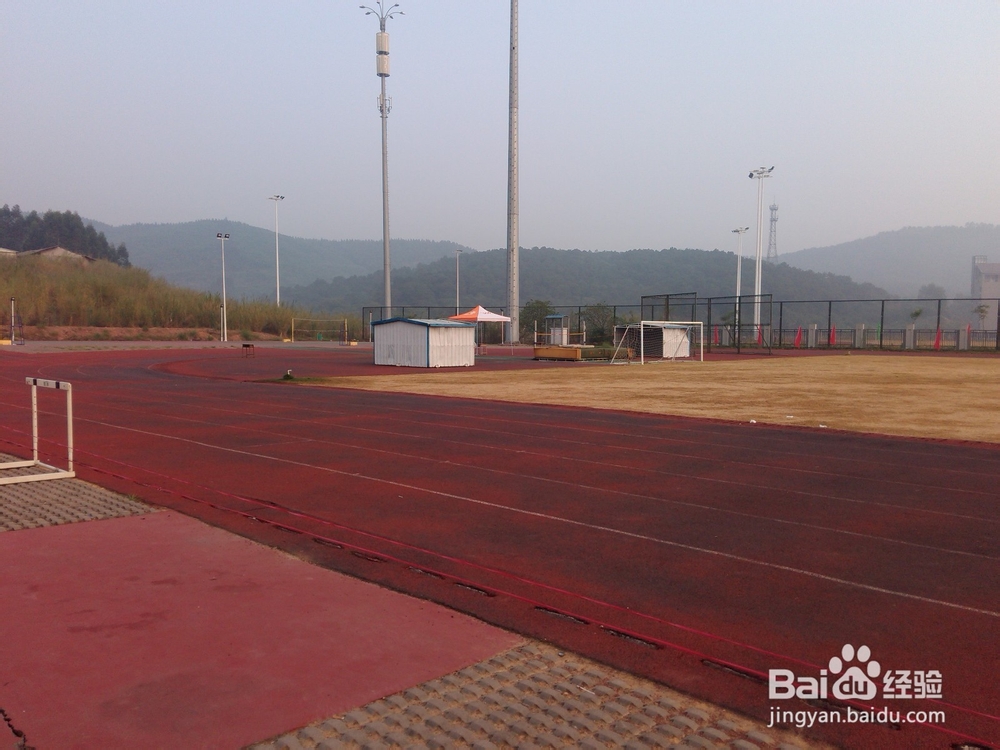 如何举办系运会