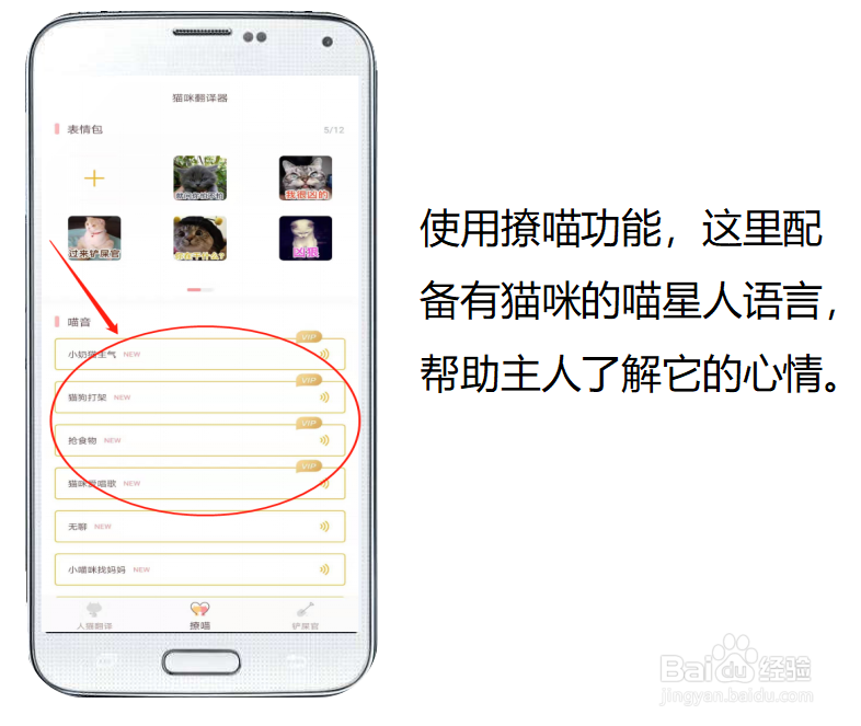 和猫咪说话的软件叫什么?