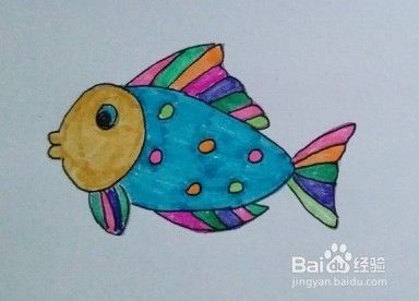 鱼的画法教程 5 鱼如何画 怎么画鱼 简笔画 百度经验