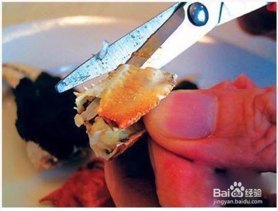 螃蟹应该怎么吃？