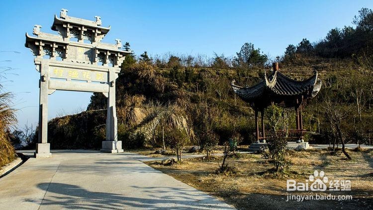 卖花渔村游玩攻略