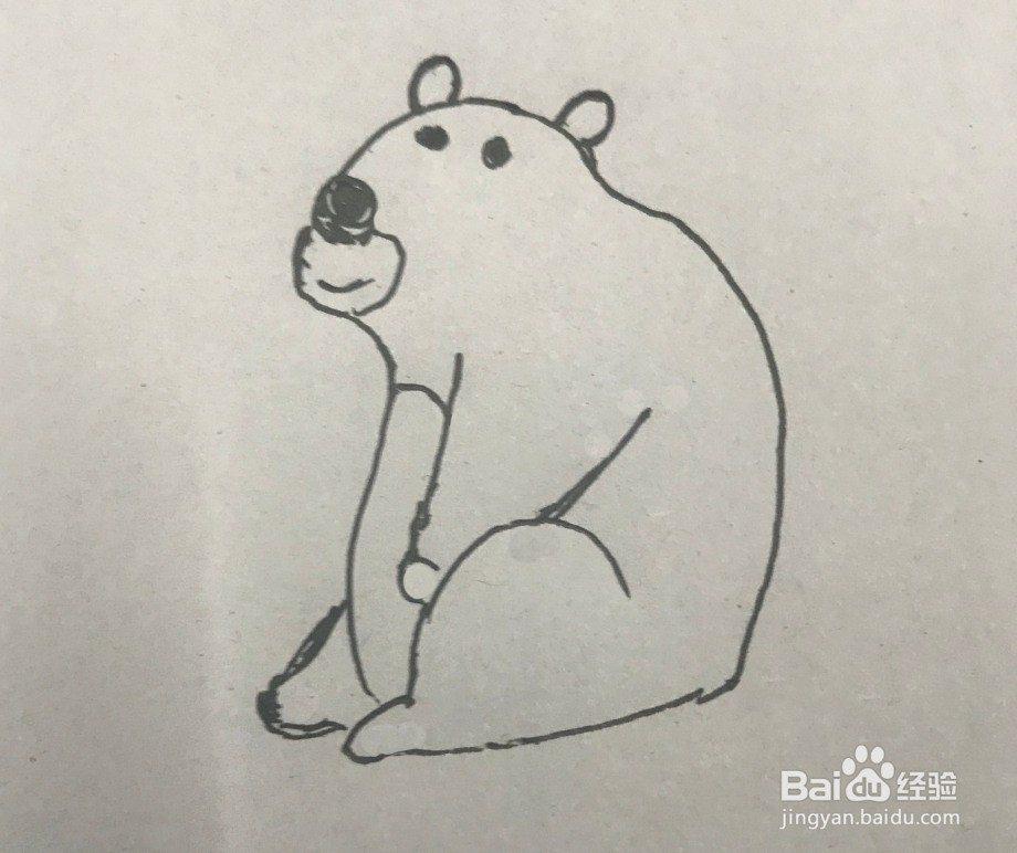 如何画大笨熊的简笔画