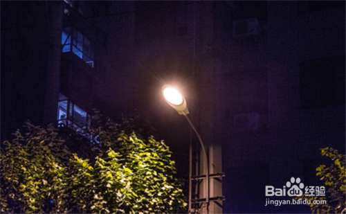 夏天灯光下的小虫子怎么处理