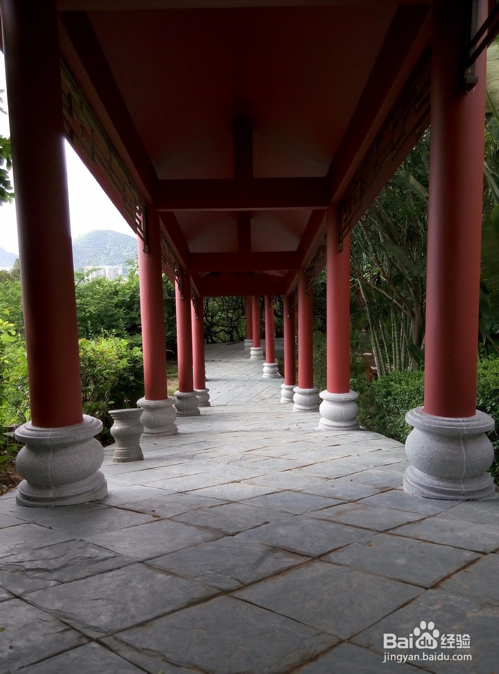 深圳有哪些好玩又免费的地方?