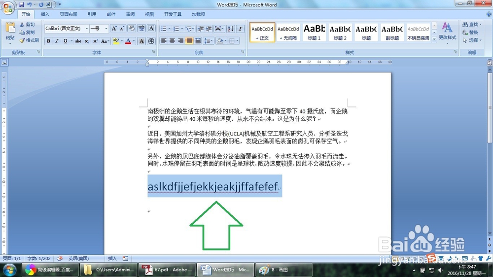 Word怎么切换英文字母拼音的大小写（两种方法）