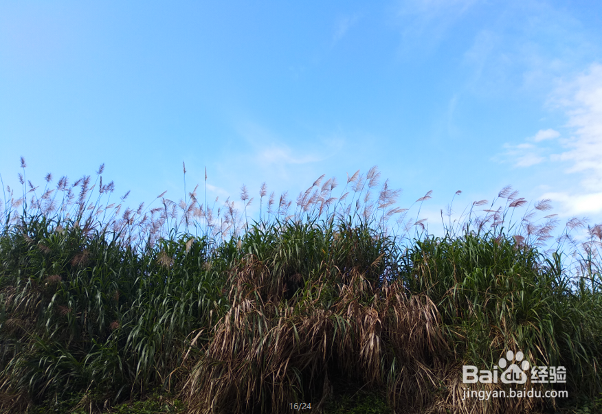 深圳大梧桐游玩路线