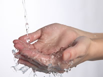 被蚂蚁咬了怎么办