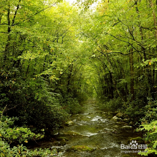 怎么样在《我的世界》里成为胜利者