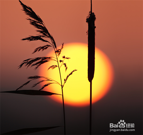 夫妻间如何沟通?