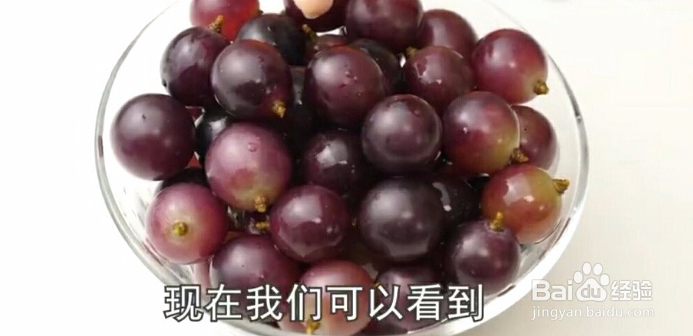 清洗葡萄和提子的正确方法