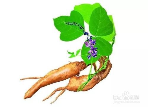 如何选择护肝的食材