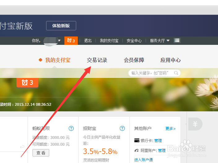 网页版支付宝如何查询提现记录