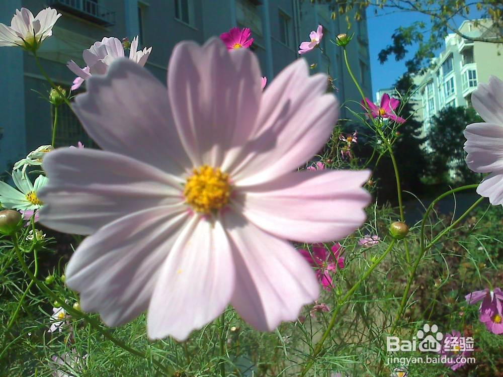 读书的好处---13