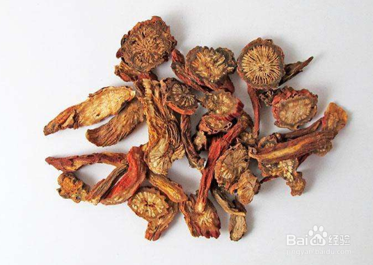 生活常识普及:天草丹参的功效及使用方法