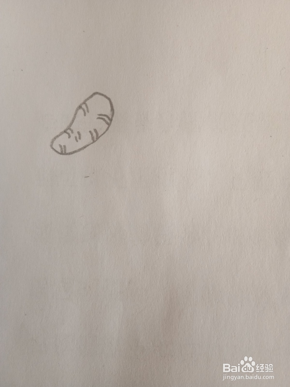 教你画简笔画胡萝卜