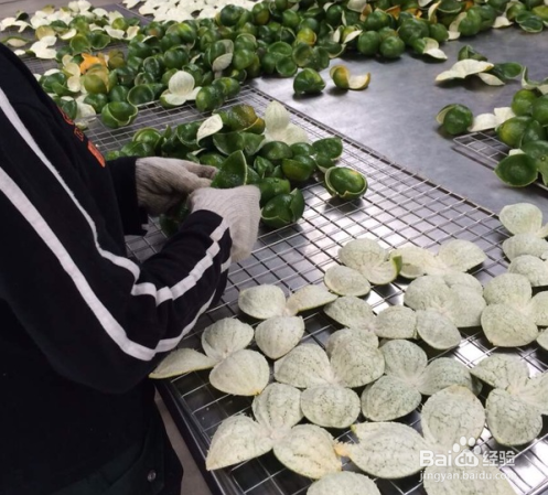 新会陈皮烘干工艺