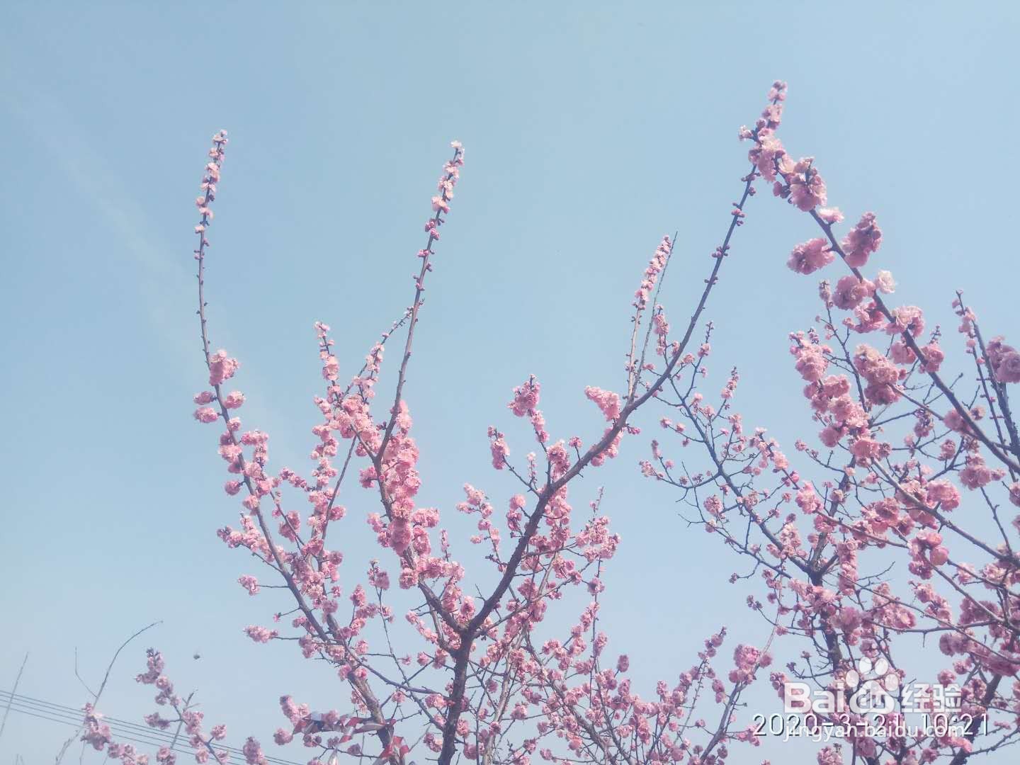 绿色旅游地推荐