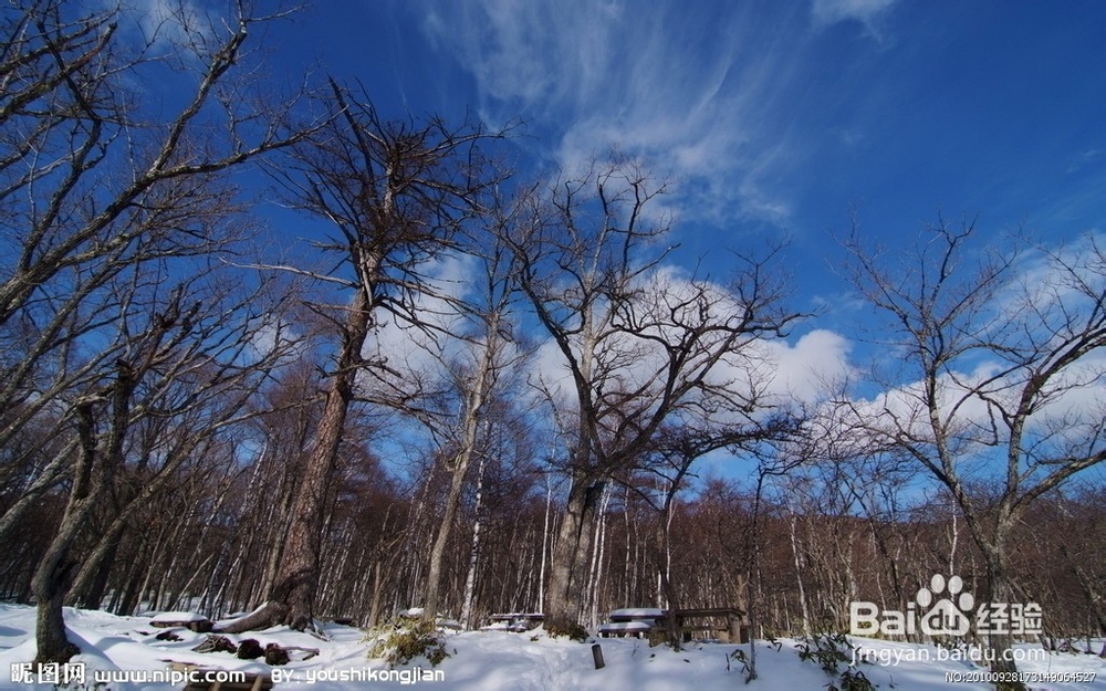 女人的运动养生之道