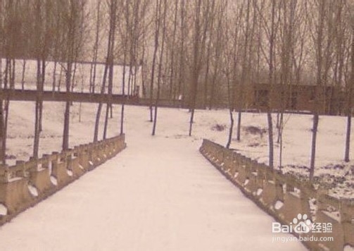 寻找广州城市中的乡村回忆？