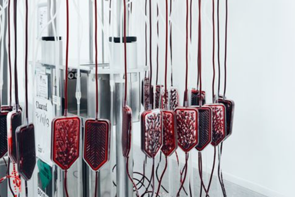 世界上真的存在比熊猫血还要稀有的“黄金血”吗