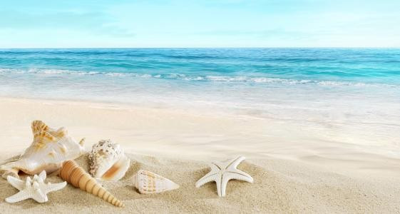 十五月亮照海滩(打一成语)