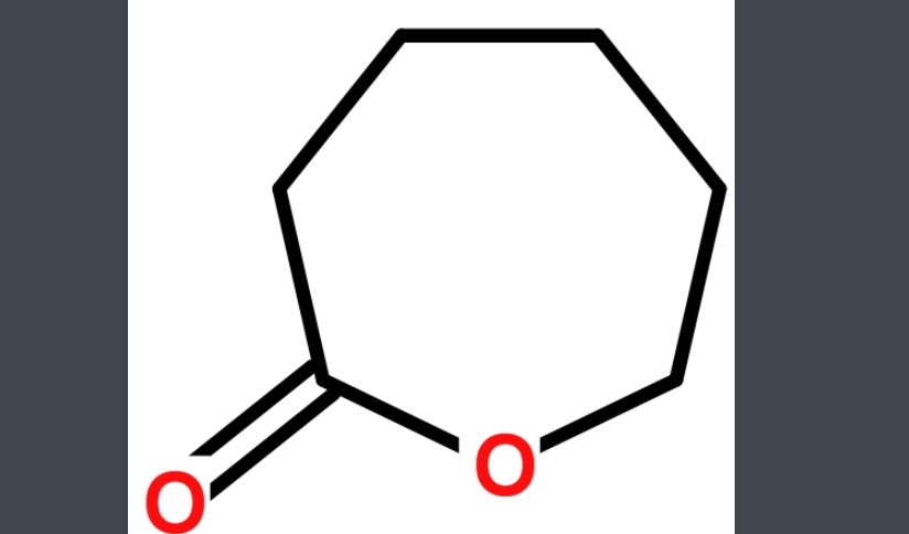 内酯是什么东西