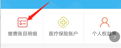 支付宝怎么查看社保缴费明细