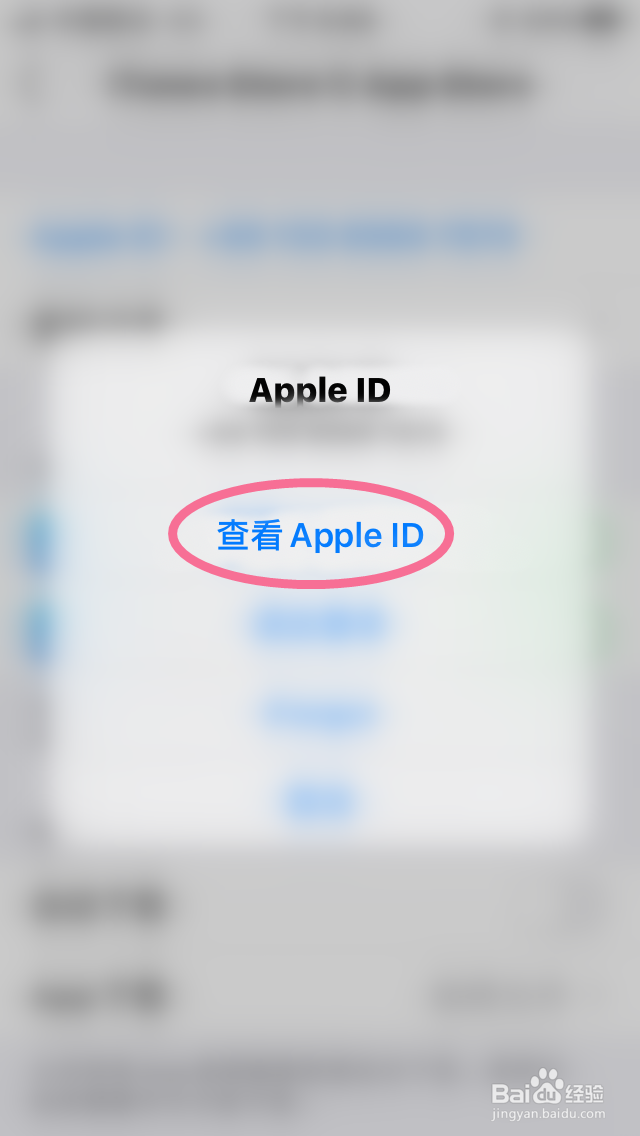 iPhone怎么查看购买记录