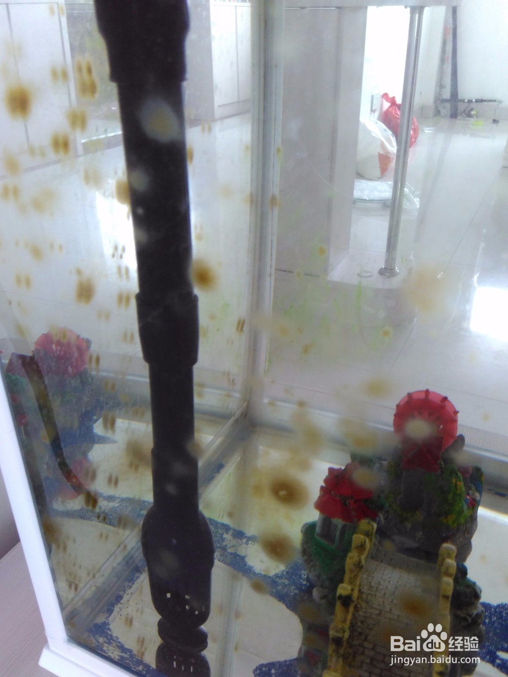 鱼缸的自动清洗方法,省时省力。