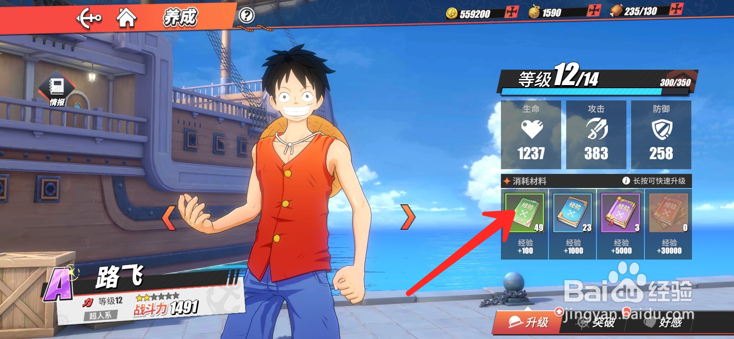 航海王热血航线怎么给伙伴升级