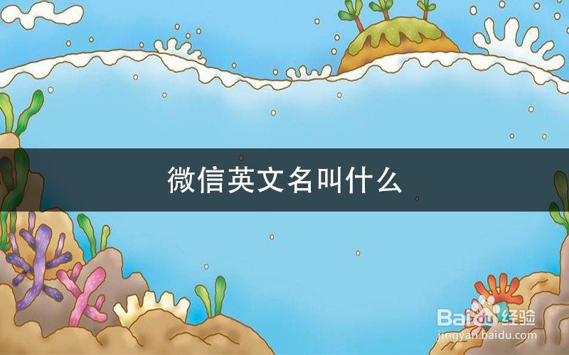 微信英文名叫什么