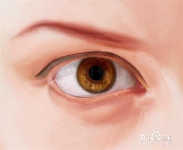 PS插画写实眼睛画法详细步骤图解教程