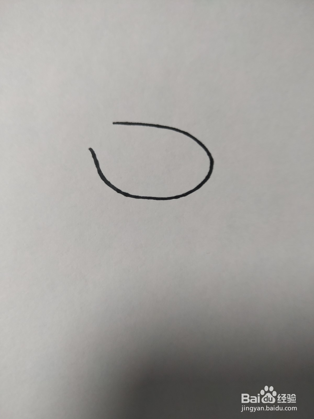 毛驴的简笔画技法5